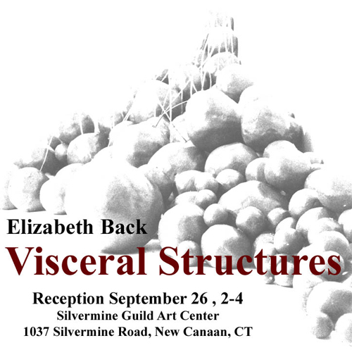 Visceral Structures, Elizabeth Back solo show at Silvermine Guild in New Canaan, CT